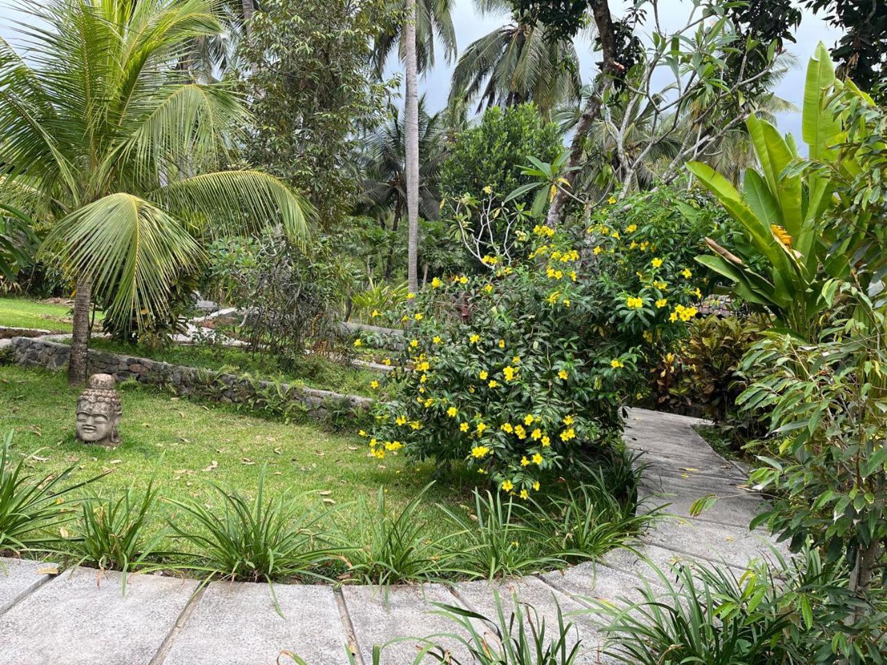 Alam Kowang Villa Tejakula Exteriér fotografie